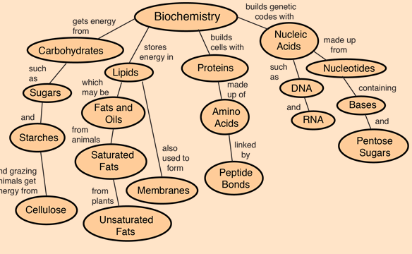 BIOCHEMISTRY( Carbohydrates , proteins ,lipids and nucleic acids ).
