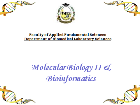 Molecular Biology II and Bioinformatics 22/23